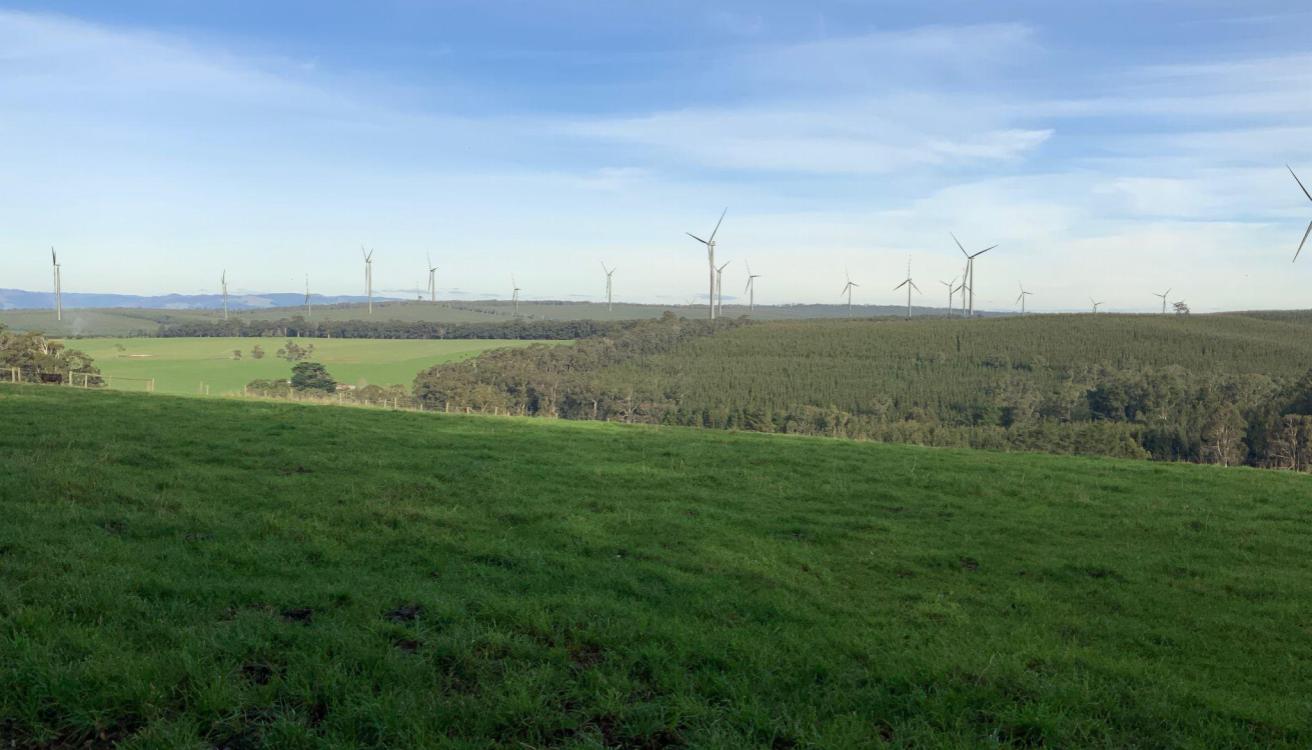 Land with wind turbines